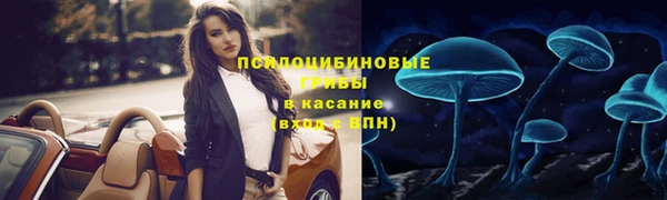 таблы Алзамай