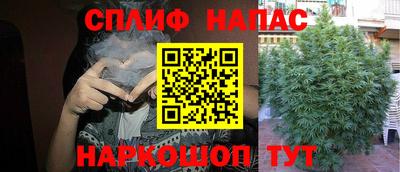 индика Севастополь