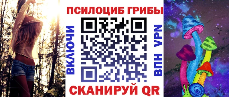 мориарти Telegram  купить   Похвистнево  Псилоцибиновые грибы ЛСД  кракен как зайти 