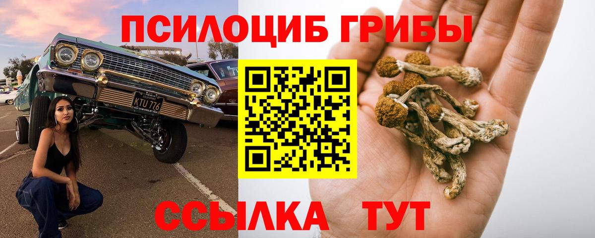 Псилоцибиновые грибы Magic Shrooms  Галлюциногенные грибы Psilocybine cubensis  Вход с VPN  Похвистнево 